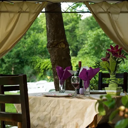 Family Bohema Ogneanovo