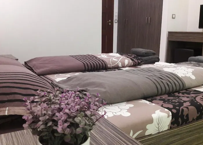 ホテル Family Bohema 3*